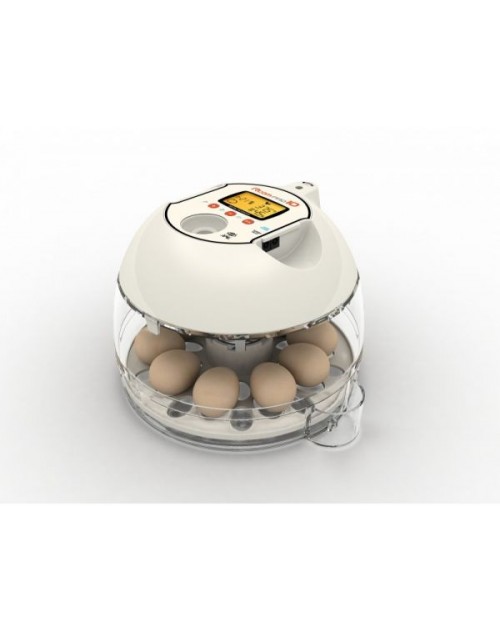 فقاسة كورية 10 بيضة تماتيك ‫‫( r-com )
