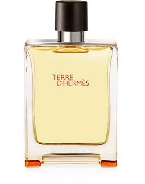  Hermes Terre D'Hermes for Men -Eau De Toilette, 100 ML